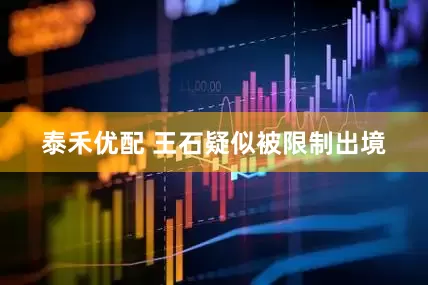 泰禾优配 王石疑似被限制出境