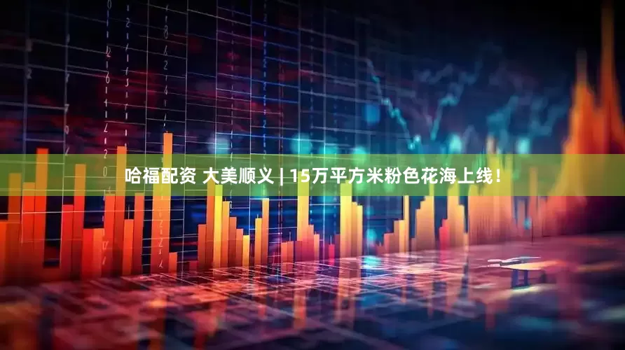 哈福配资 大美顺义 | 15万平方米粉色花海上线！