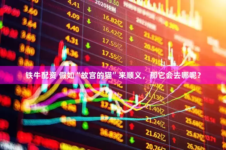 铁牛配资 假如“故宫的猫”来顺义，那它会去哪呢？
